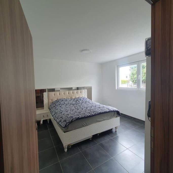 Bel Appartement Rez De Jardin Horbourg Zewnętrze zdjęcie